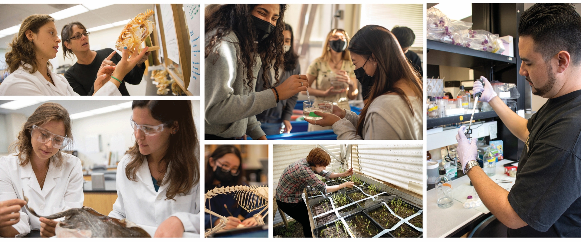 montage of students conducting research